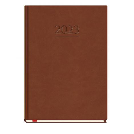 2026 Kalendarz MiP Popularny A5, Brązowy